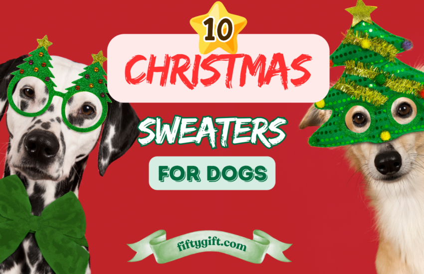 Christmas-sweaters-for-dogs
