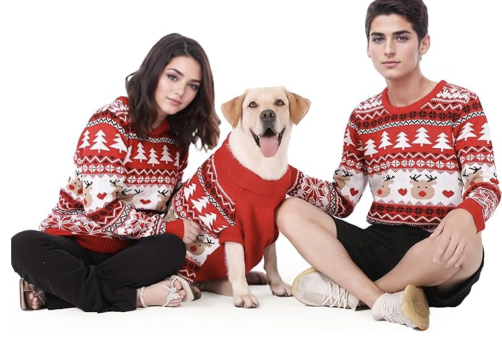 10 Cheap Christmas Sweaters for Dogs to Keep Them Cozy 4 image